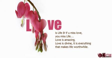 love is life & if u miss  love ,you miss life ....love is amazigh ,